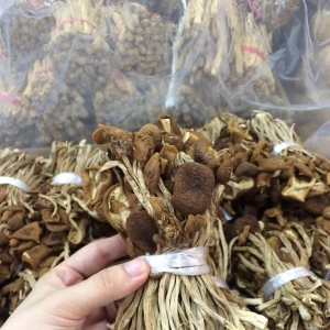 茶樹(shù)菇價(jià)格多少錢(qián)一斤？茶樹(shù)菇價(jià)格行情因素分析